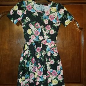 Women's dress (lularoe Amelia)